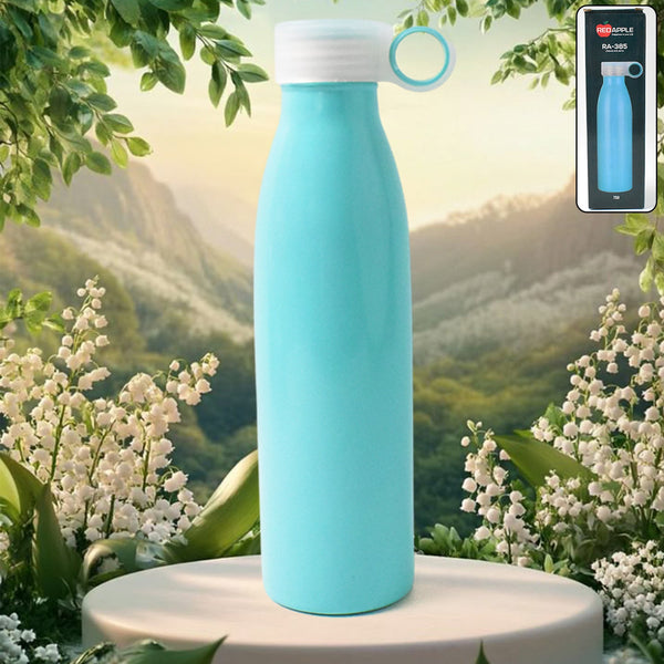 Stainless Steel Water Bottle (750 ML / 1 Pc)