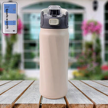 Stainless Steel Insulated Vacuum Bottle (680ml Approx)