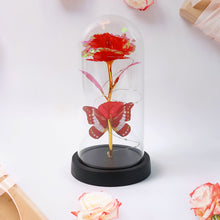 Elegant LED Eternal Rose in Plastic Dome (1 Pc / Battery Not included)