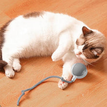 Rechargeable Interactive Cat Toy Ball with Detachable Braided Tail and LED Light (1 Pc)