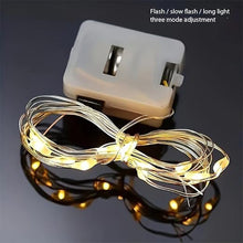 Fairy Lights Multi LED Fairy String Light (1 Pc)