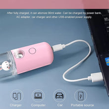 Portable Mini Facial Steamer – USB Rechargeable Nano Mist Sprayer with Cute Cartoon Design