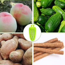 Plastic Fruit & Vegetable Brush (1 Pc)