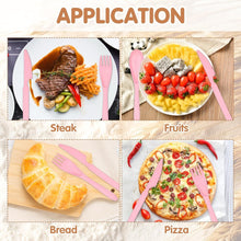 4 in 1 Travel Utensils Plastic Spoons and Forks Sets for Lunch Box (3 Pc With Case)