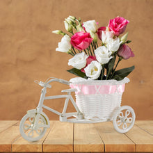 Plastic Cycle Flower Vases For Home Decor; Bicycle Flower Pot Stand (1 Pc)