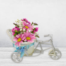 Plastic Cycle Flower vases for Home decor; Bicycle Flower Pot Stand