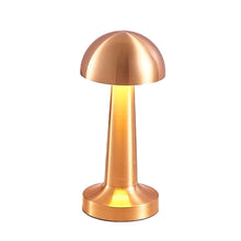 LED Lamp with Touch Control | Decorative Desk Lamp, Portable Metal LED Table Lamp
