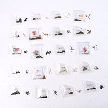 Seeds 20 Varieties of Flower Seeds Combo (1 Pkt / 20 Varieties)