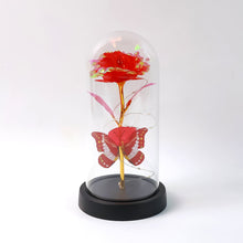Elegant LED Eternal Rose in Plastic Dome (1 Pc / Battery Not included)