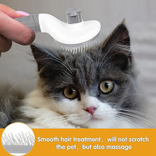 Self-Cleaning Slicker Brush for Dogs & Cats (1 Pc)