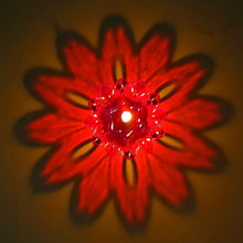 Candle Cup with Multi Shape (Multicolor) (12 Pcs Set)