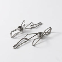 Stainless Steel Clothes pegs with One Rope