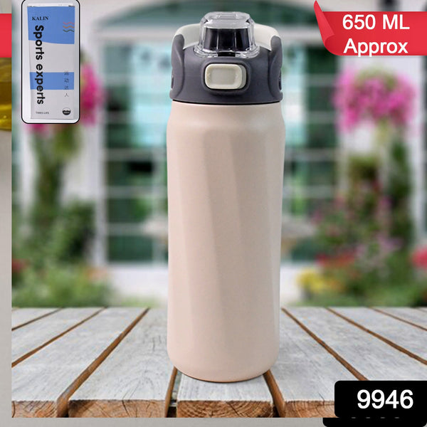 Stainless Steel Insulated Vacuum Bottle (680ml Approx)
