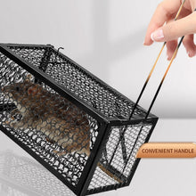 Foldable Live Mouse Trap – Easy Catch & Release Cage for Mice, Squirrels, Voles & Hamsters