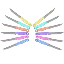 Multipurpose Top Kitchen Knife for Home and Restaurant (12Pcs Set)