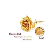 24K Artificial Golden Rose / Gold Red Rose with Gift Box (10 inches)