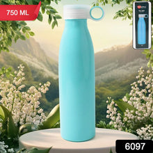 Stainless Steel Water Bottle (750 ML / 1 Pc)