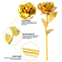 Golden Rose & Necklace Set Perfect Gift Set