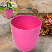 Plastic Flower Valencia (Pot) Home and Outdoor (1 Pc/Mix Colour)